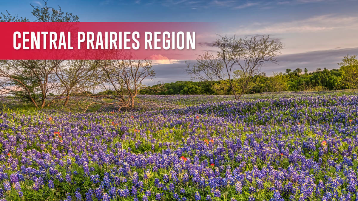 Central Prairies Region