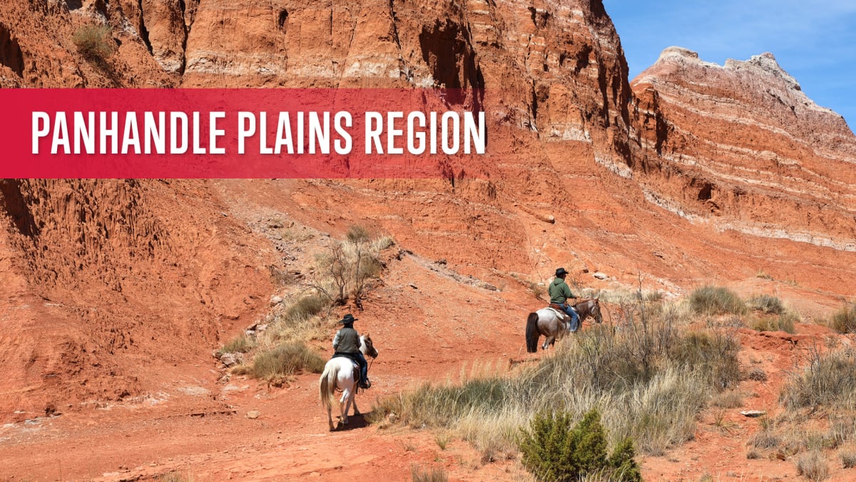 Panhandle Plains Region