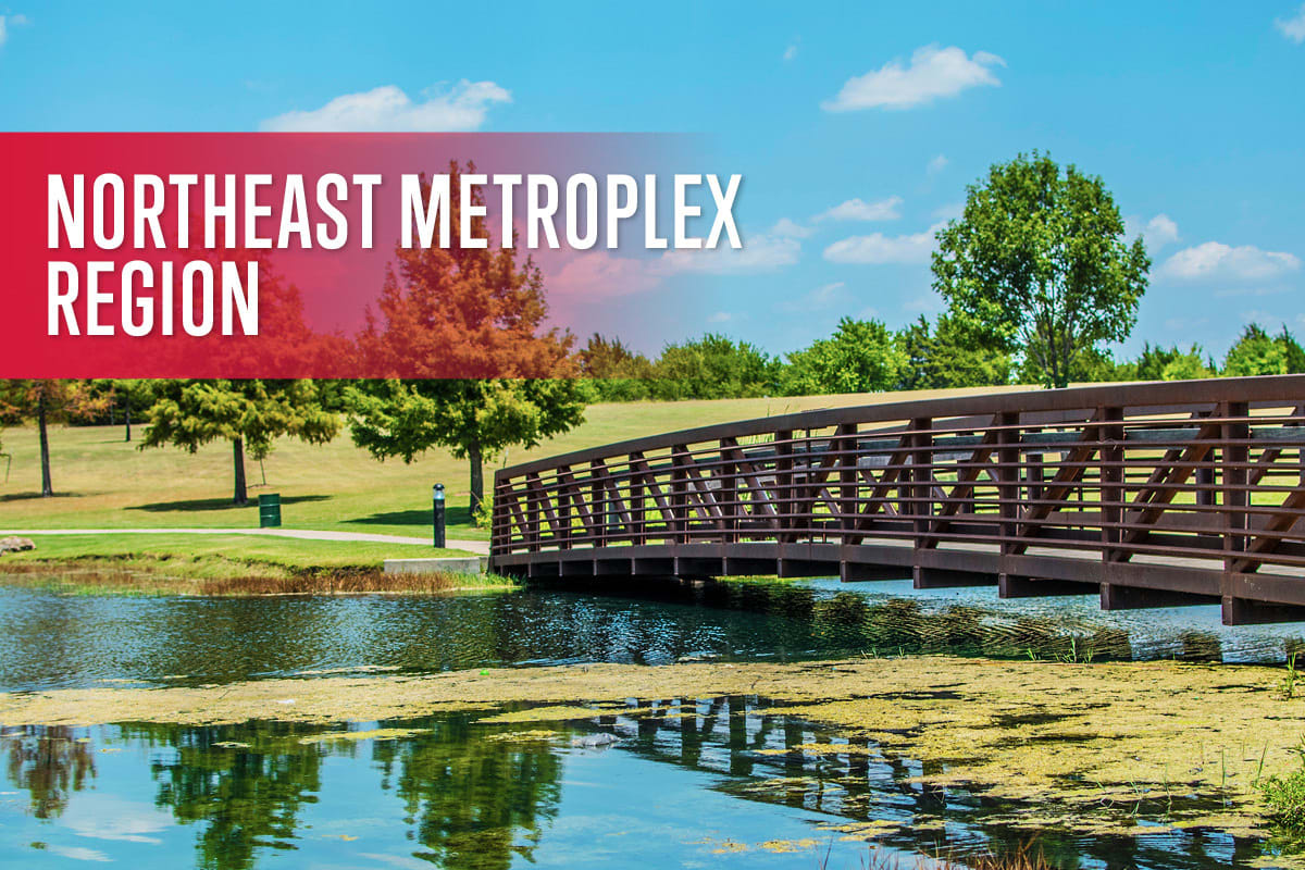 Northeast Metroplex Region