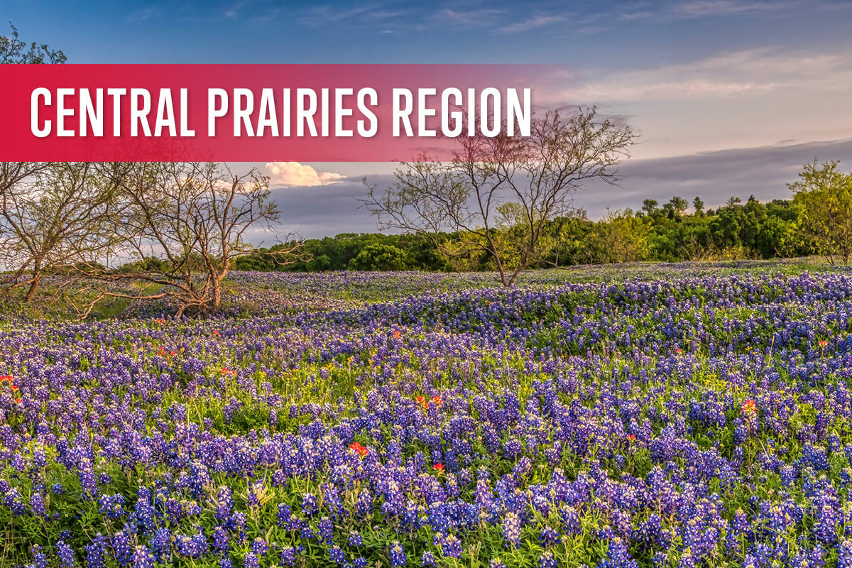 Central Prairies Region