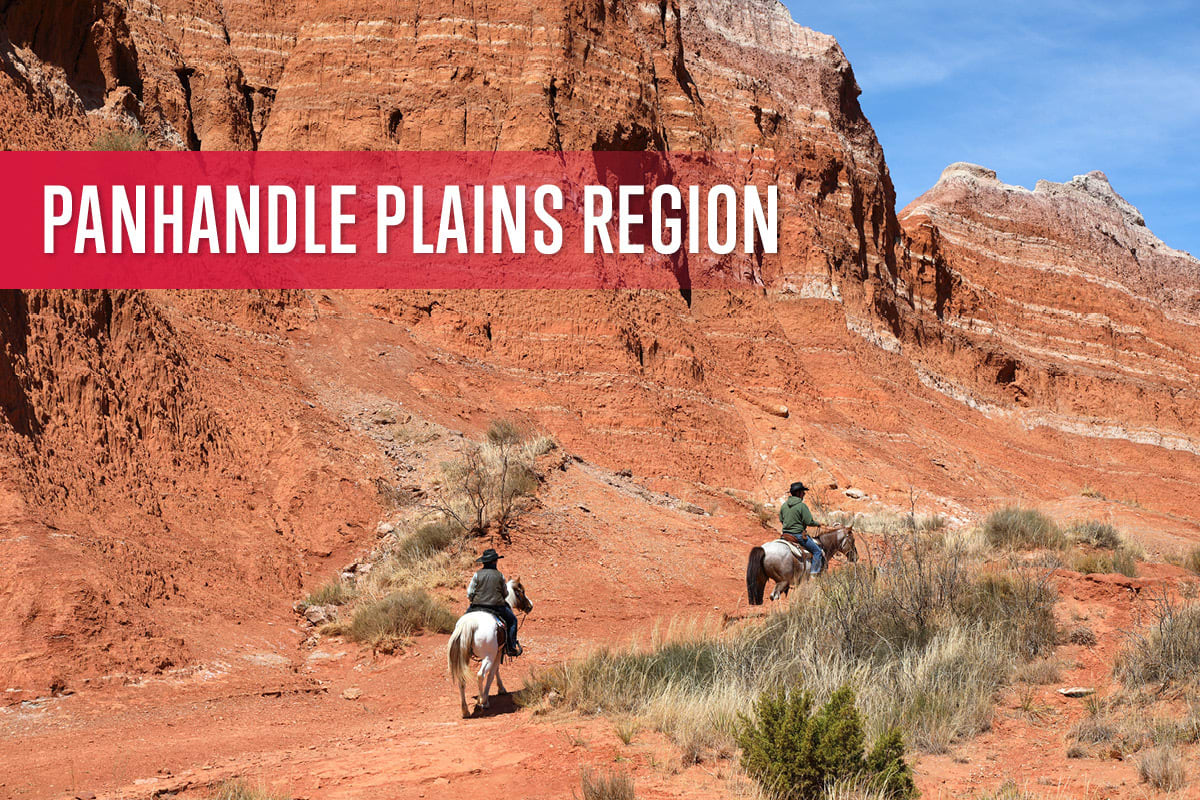 Panhandle Plains Region