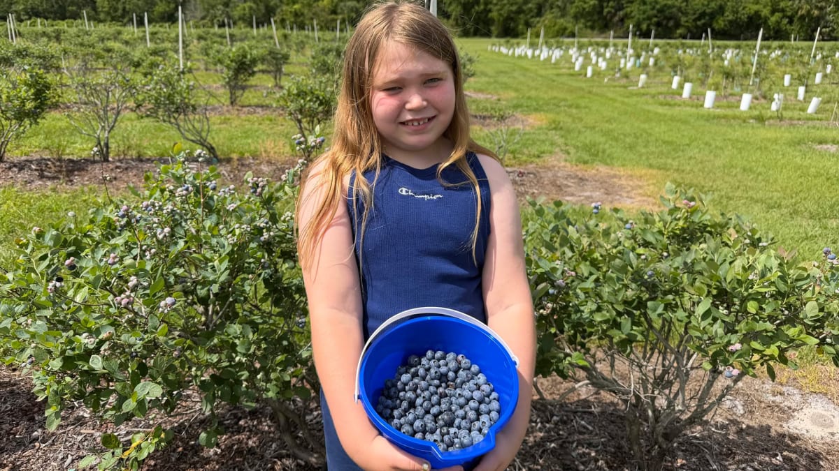 Berry Sweet Summer Plans!