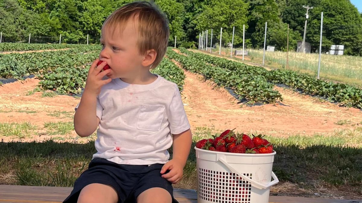 Fresh Air, Full Buckets!
