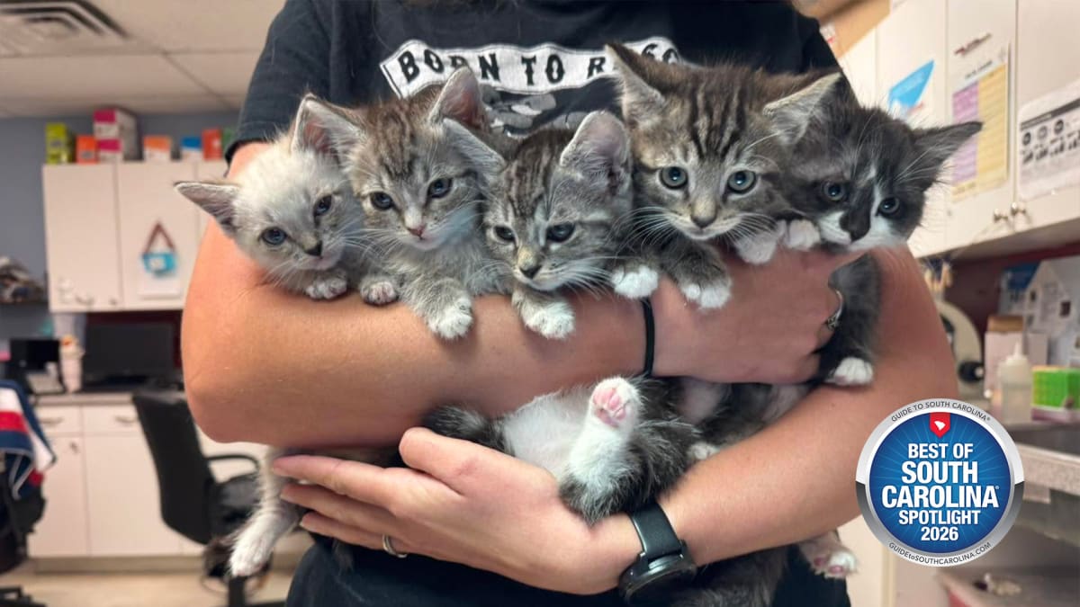 Happy Tails Start Here