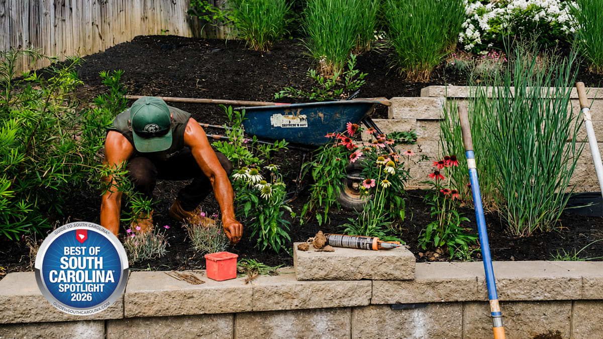 Backyards Worth RSVPing To
