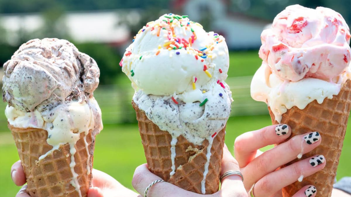 Life's Better With Sprinkles!