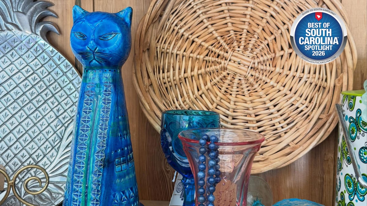 Cool Finds, No Dust Required