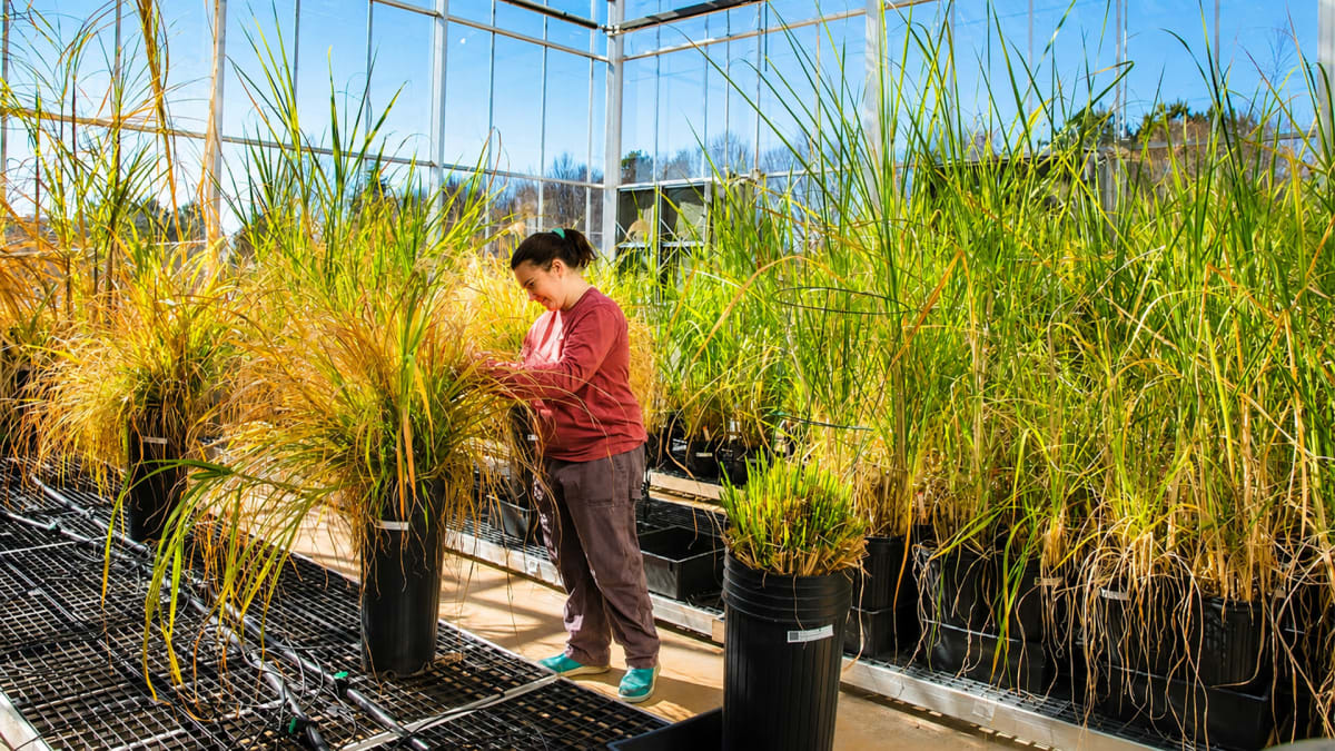 Engineering a Greener Economy