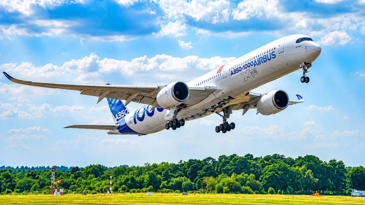 Big Business Takes Flight!