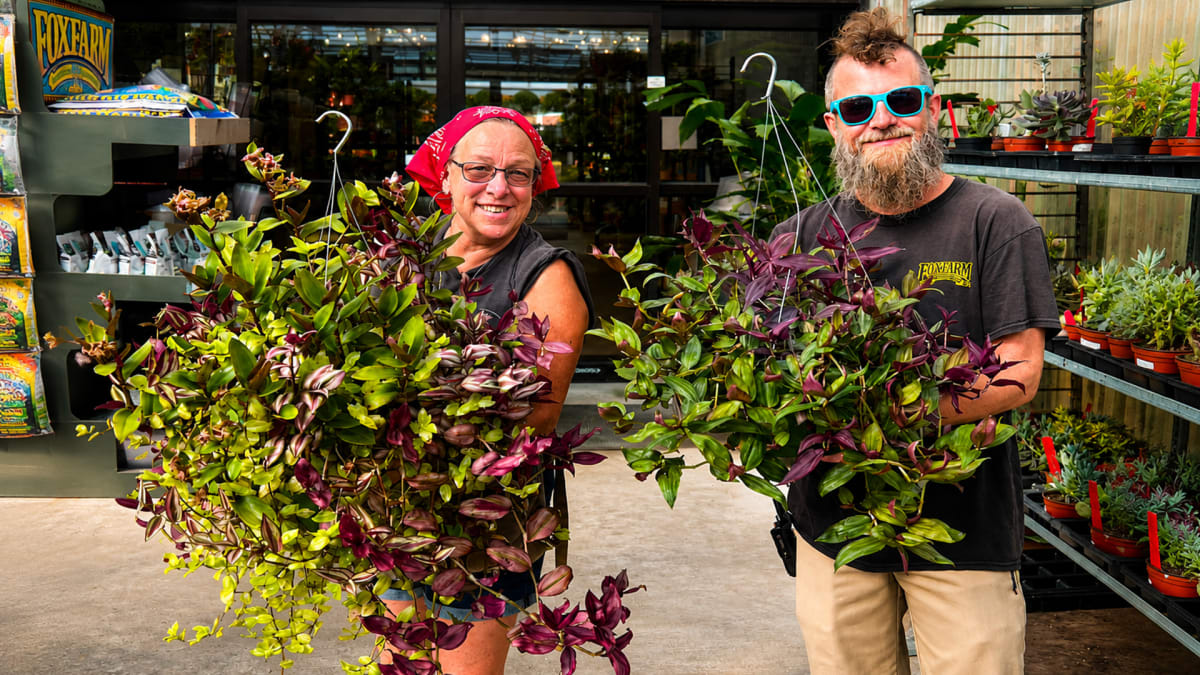 Potluck for Plant Lovers!