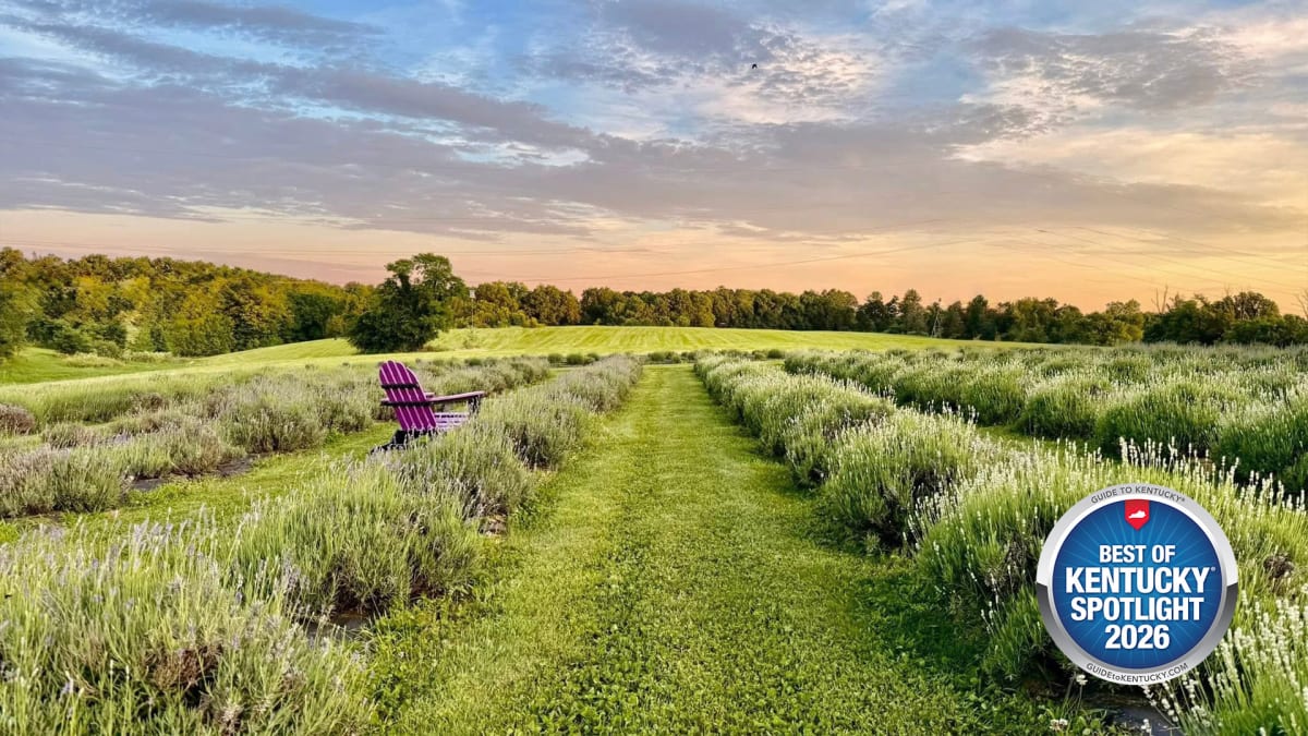 Where Unforgettable Moments Bloom
