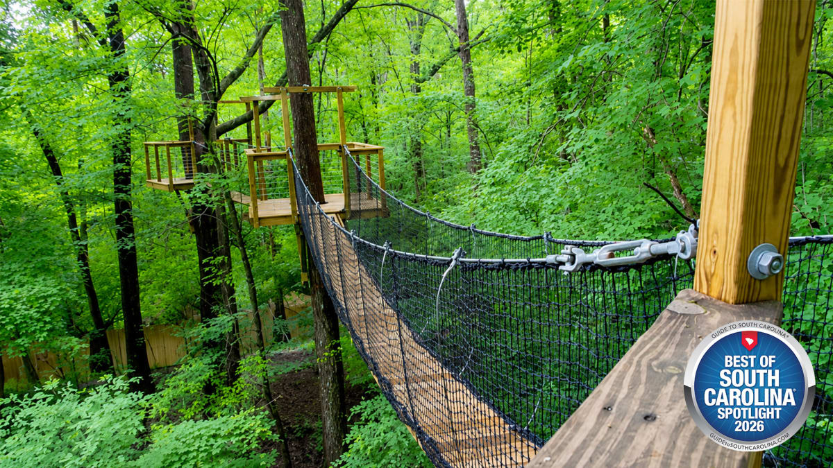 Room to Roam at Lynches River