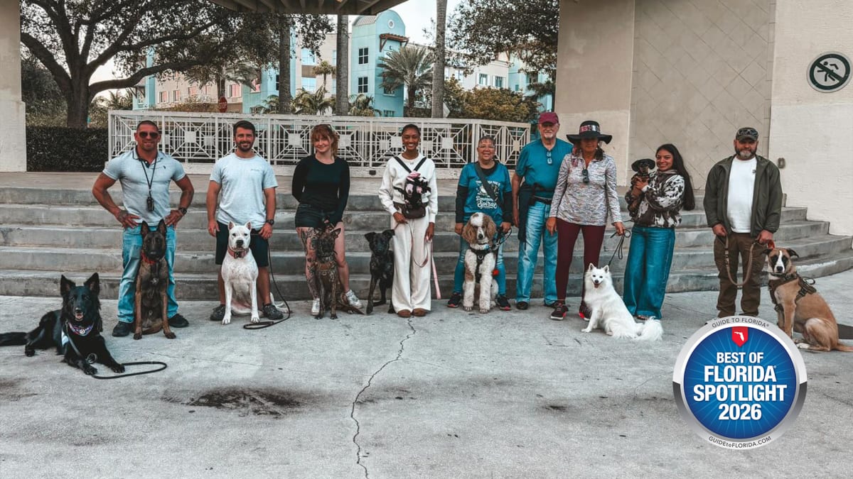 Rescued Dogs, Rebuilt Lives