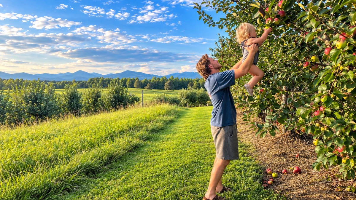 How Do You Like Them Apples?