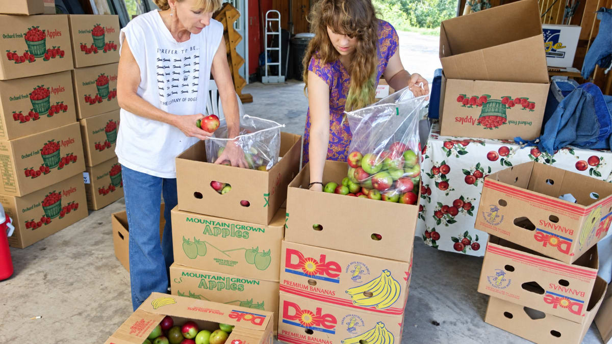 A Bushel of Fall Plans