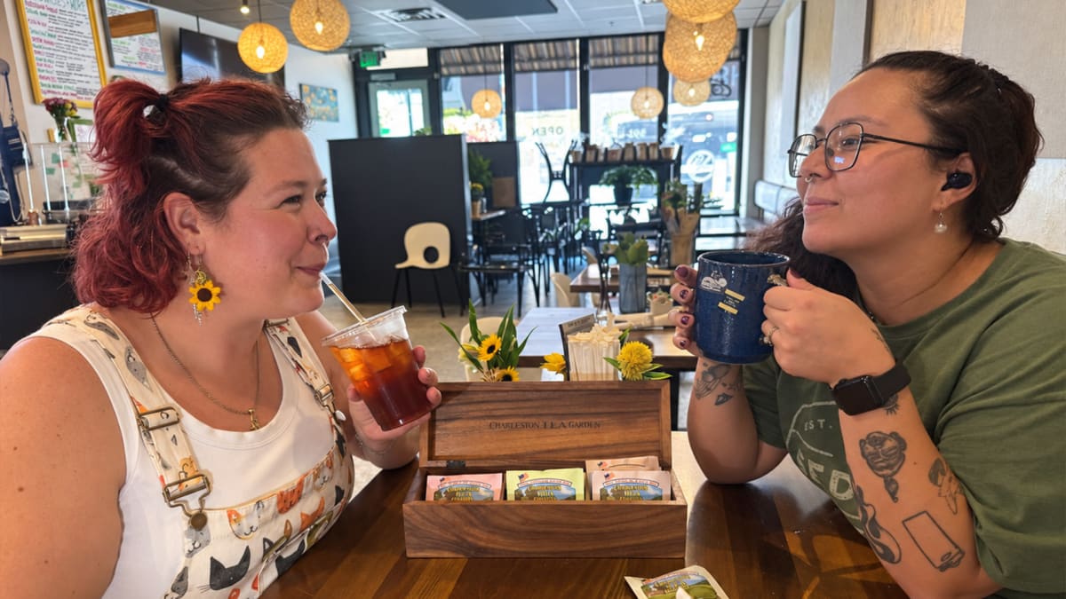 From Tea Field to Tea Table
