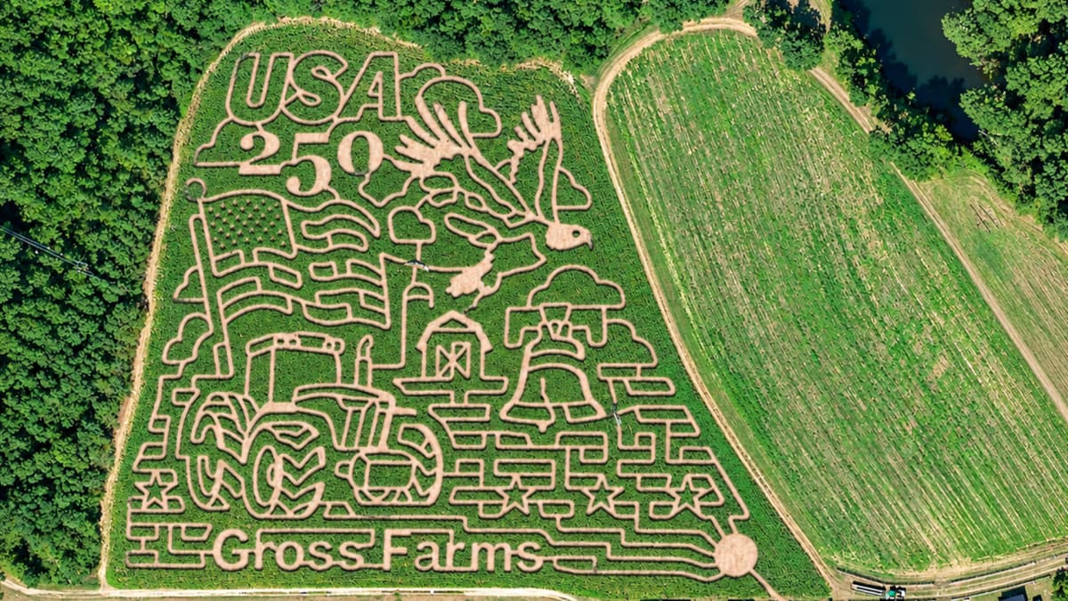 Corn, But Make It Complicated!