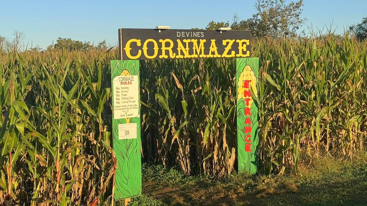 Pumpkins by Day. Cornfields by Night.
