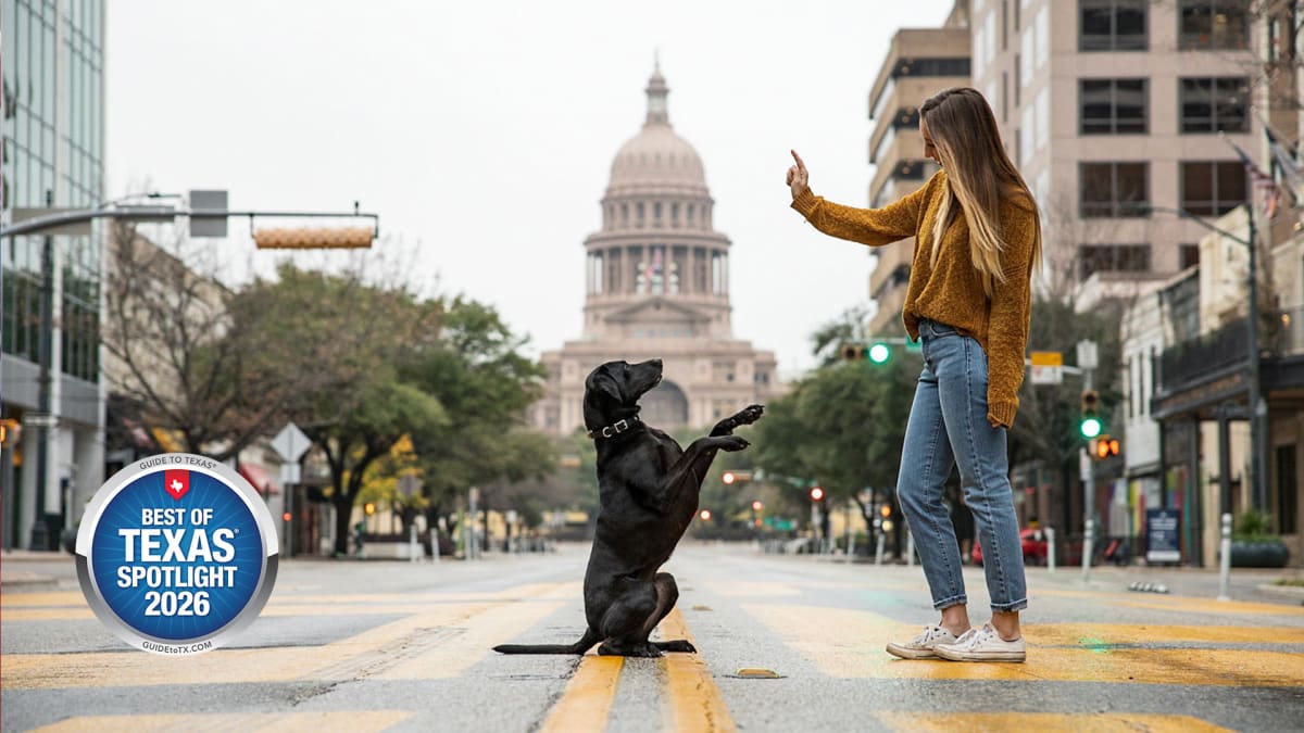 Off Leash and on Cue