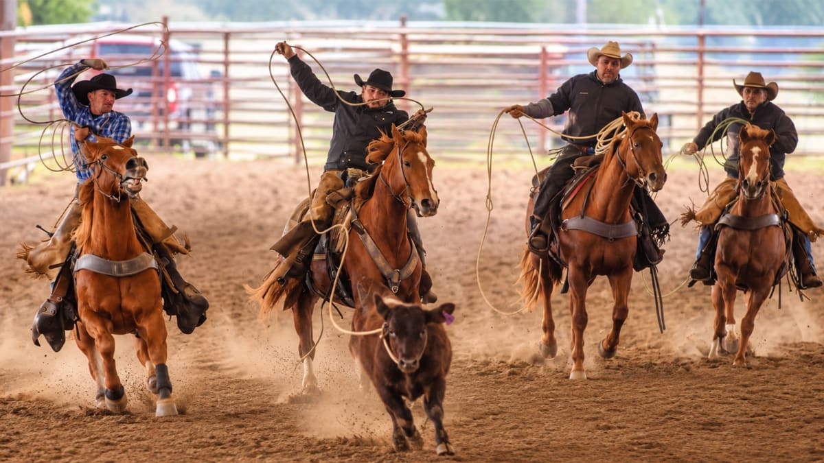 Saddle Up, Kingsville!