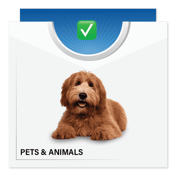 Pets & Animals