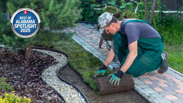 Who Took Your Tree (and Left Your Yard Clean)?
