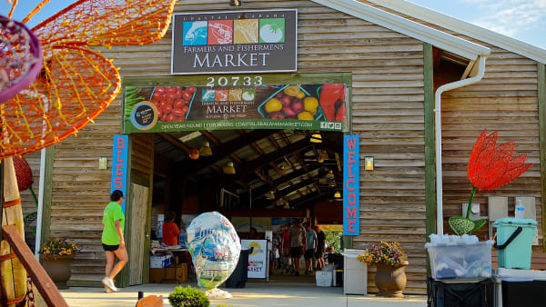 Fall Into Flavor: Farmers Market Magic!