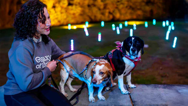 Tails, Trails, and Twinkles!