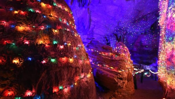 Where Festive Fun Runs Deep!