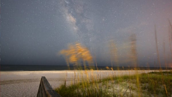The Gulf, All to Yourself!