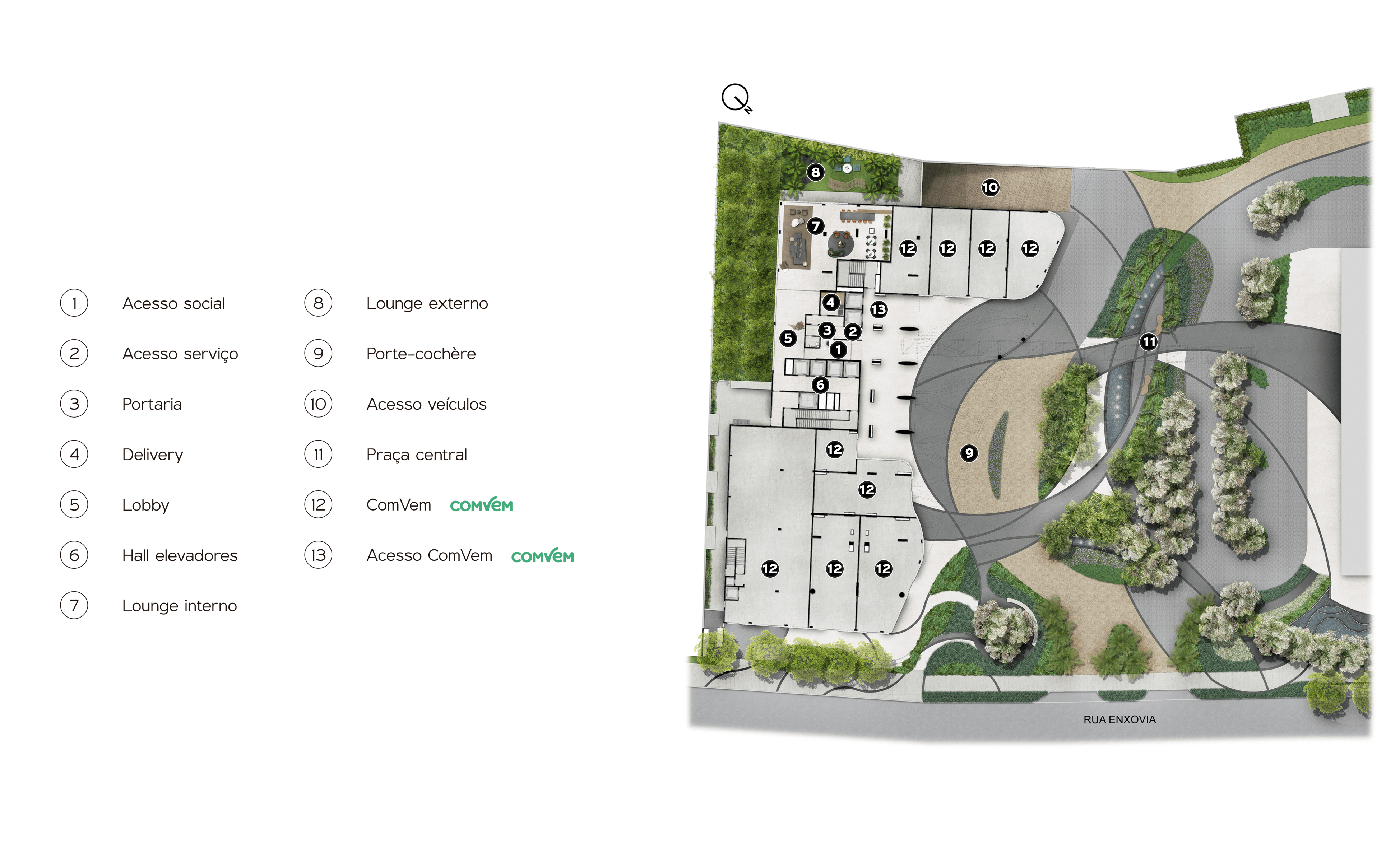 Planta Helbor Open Mind