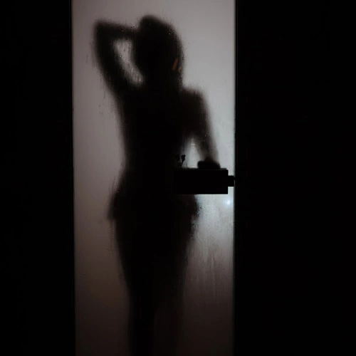 Силуэт