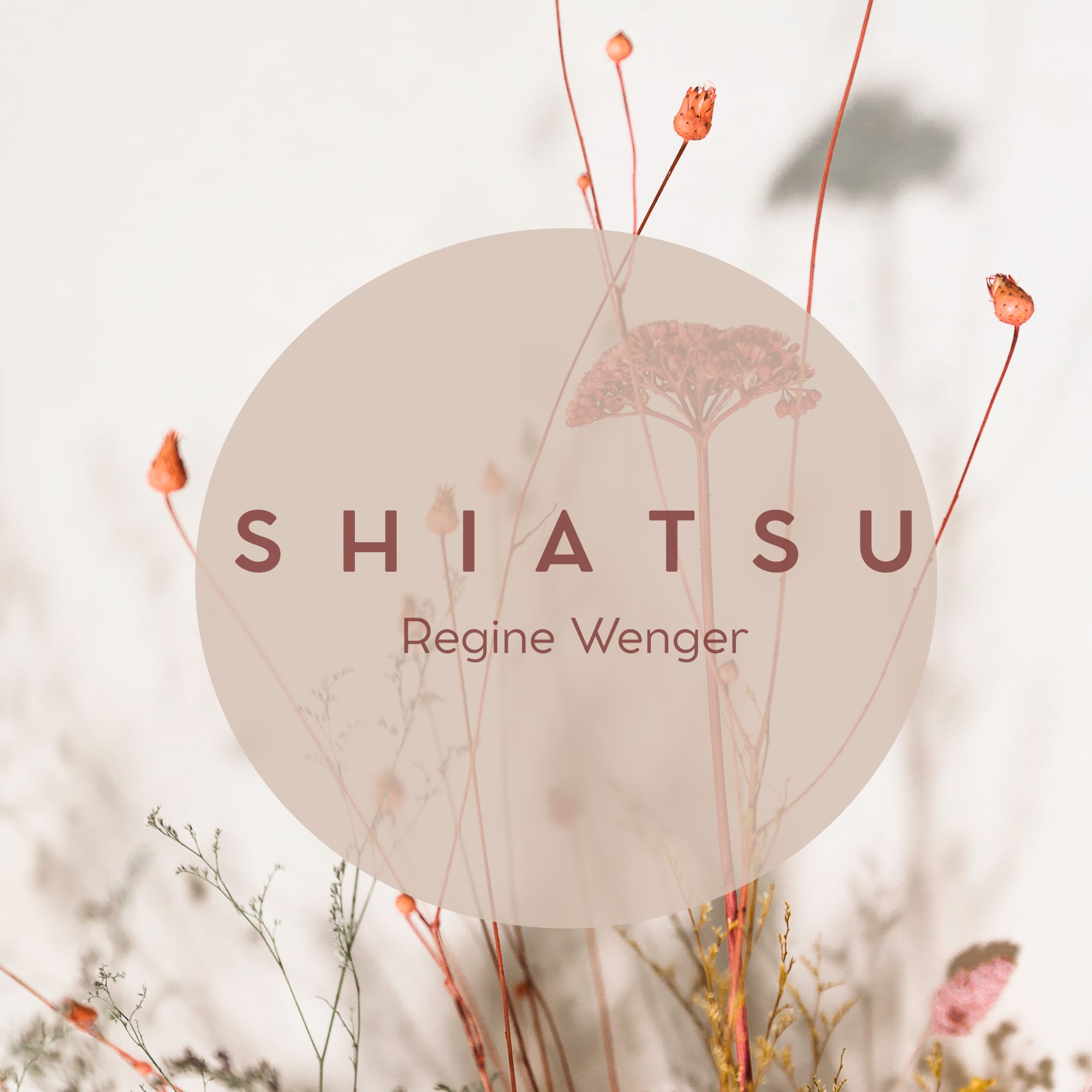 Principi dello Shiatsu — testo calligrafico