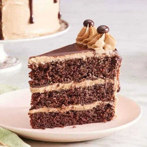 Choco Cake Elite