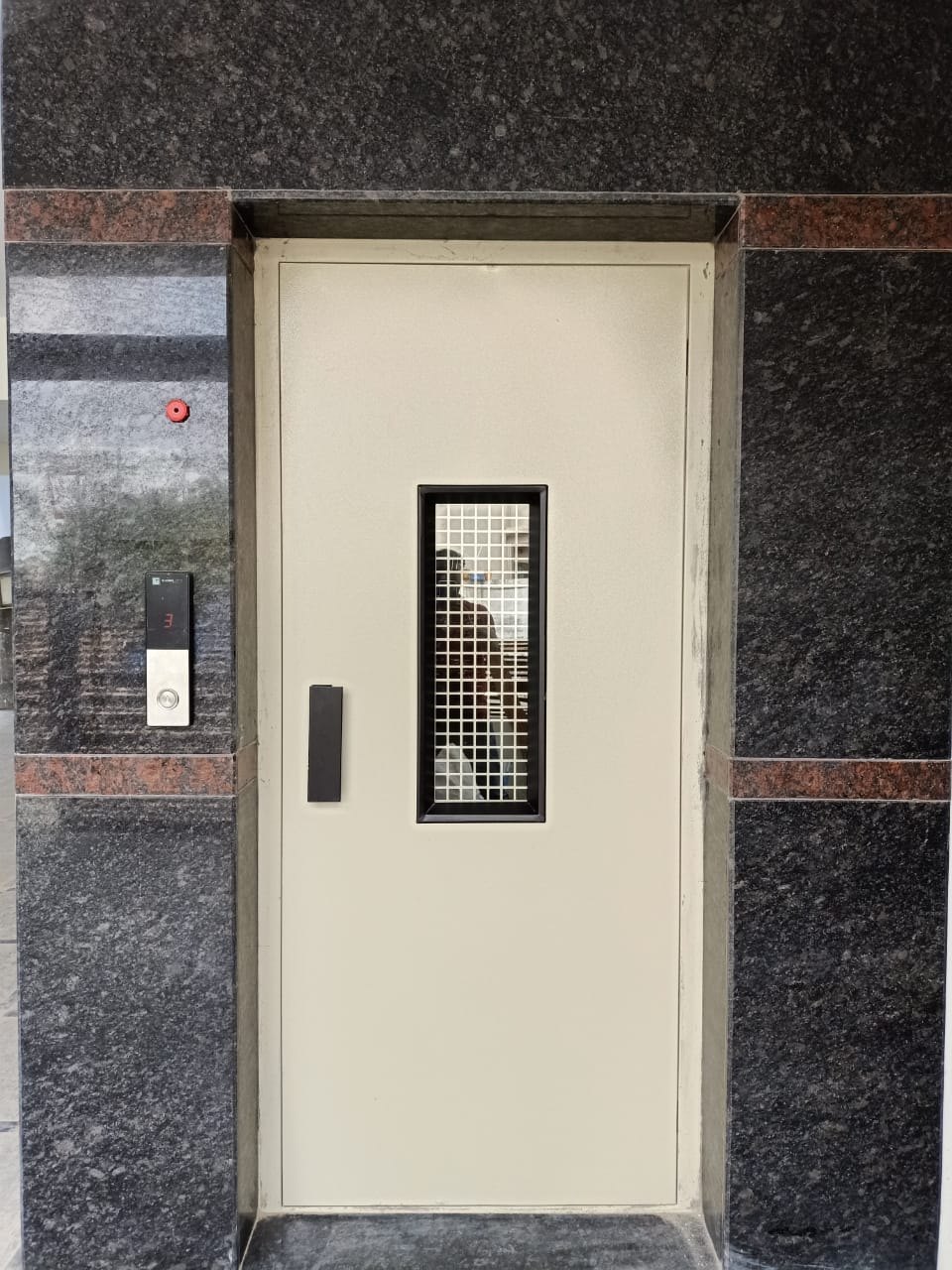 Small Vision MS Swing Door