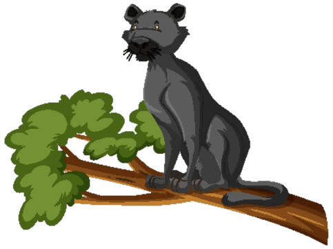 Panther