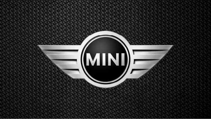 Mini Gallery Image