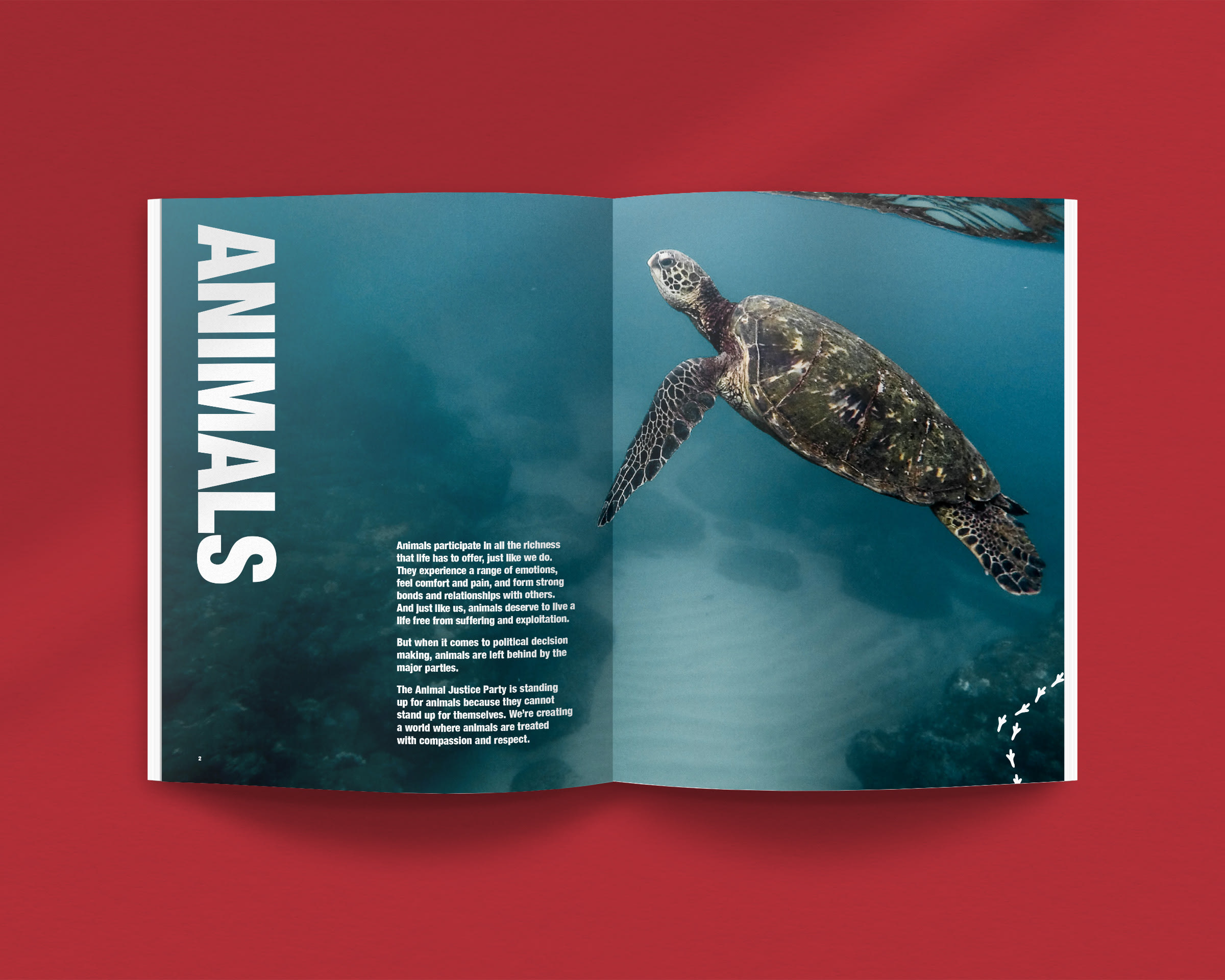 Animal Justice booklet, editorial