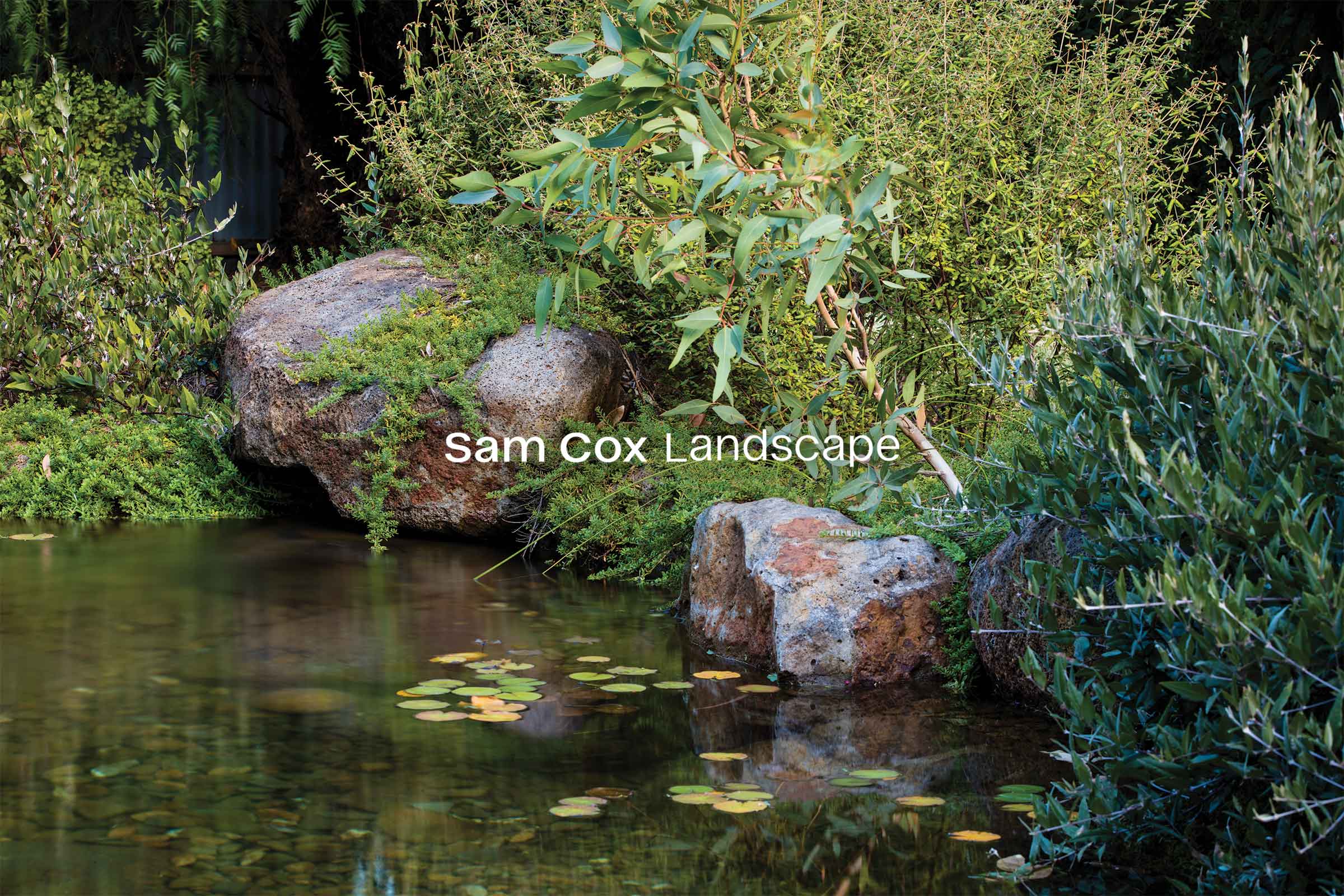 Green native Australian garden with rocks surrounds a natural pool. The words Sam Cox Landscape overlaid in white.