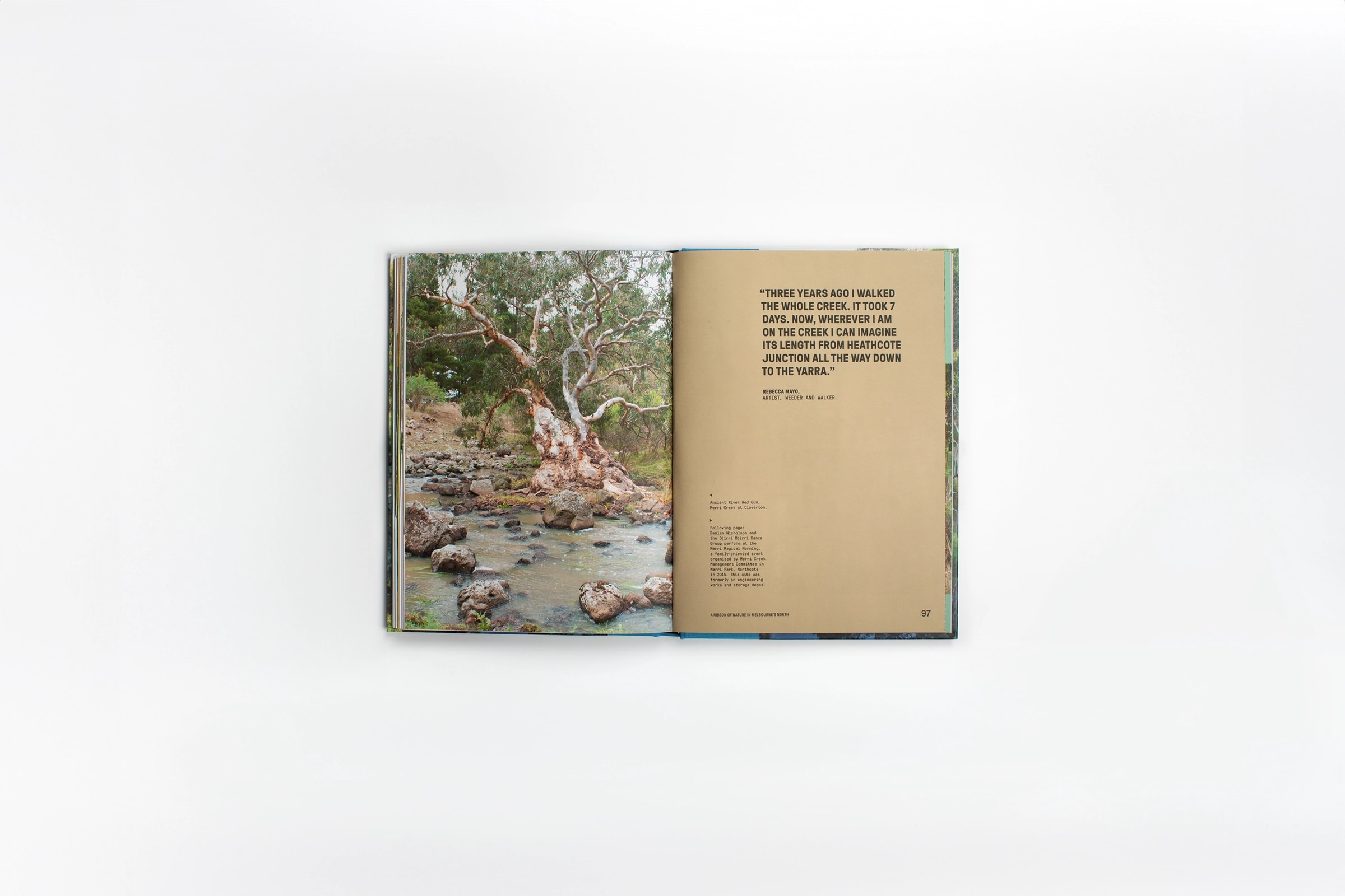 Book spread - Merri creek on white background studio photography