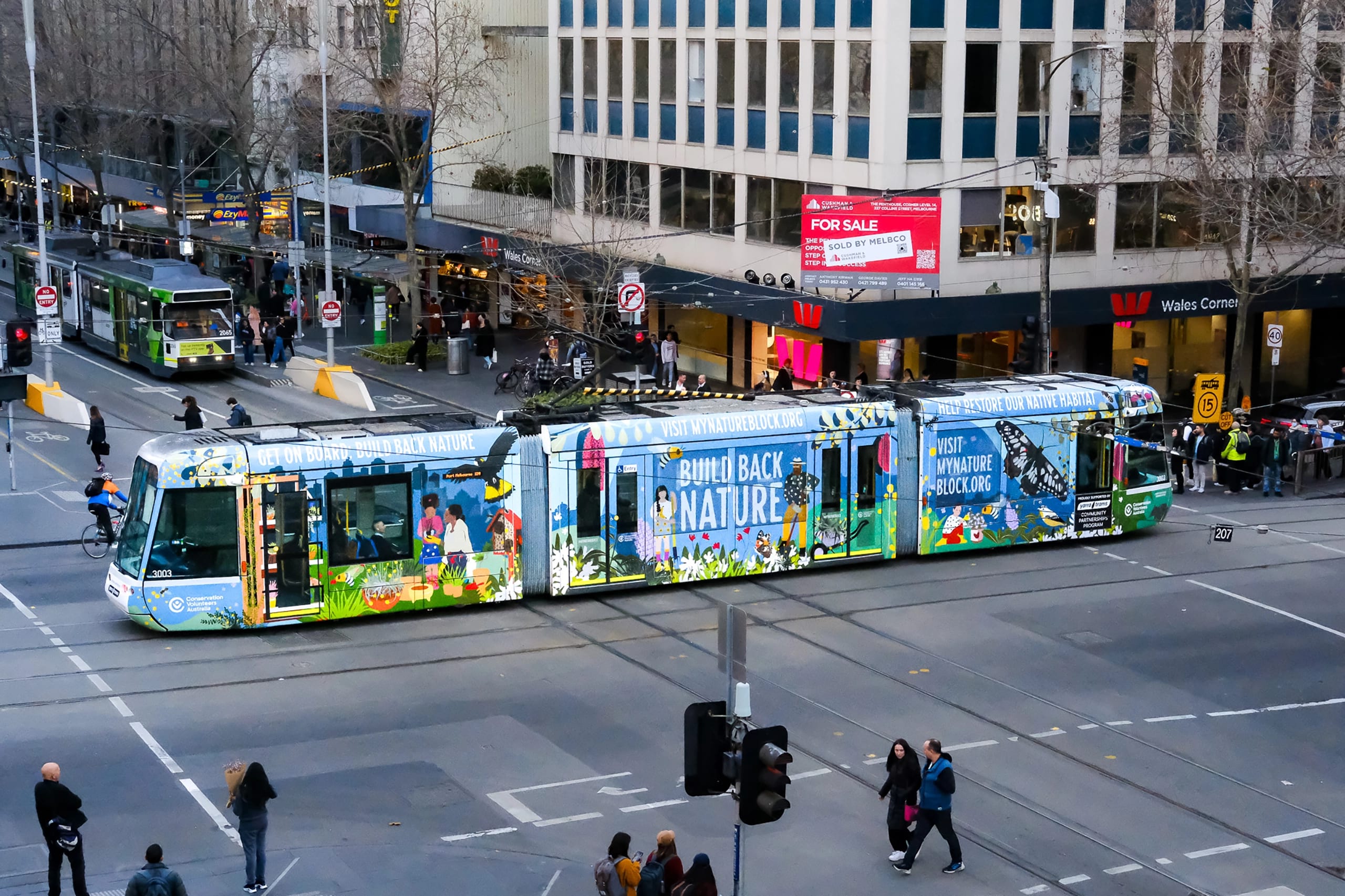 Tram with illustrations in Melbourne