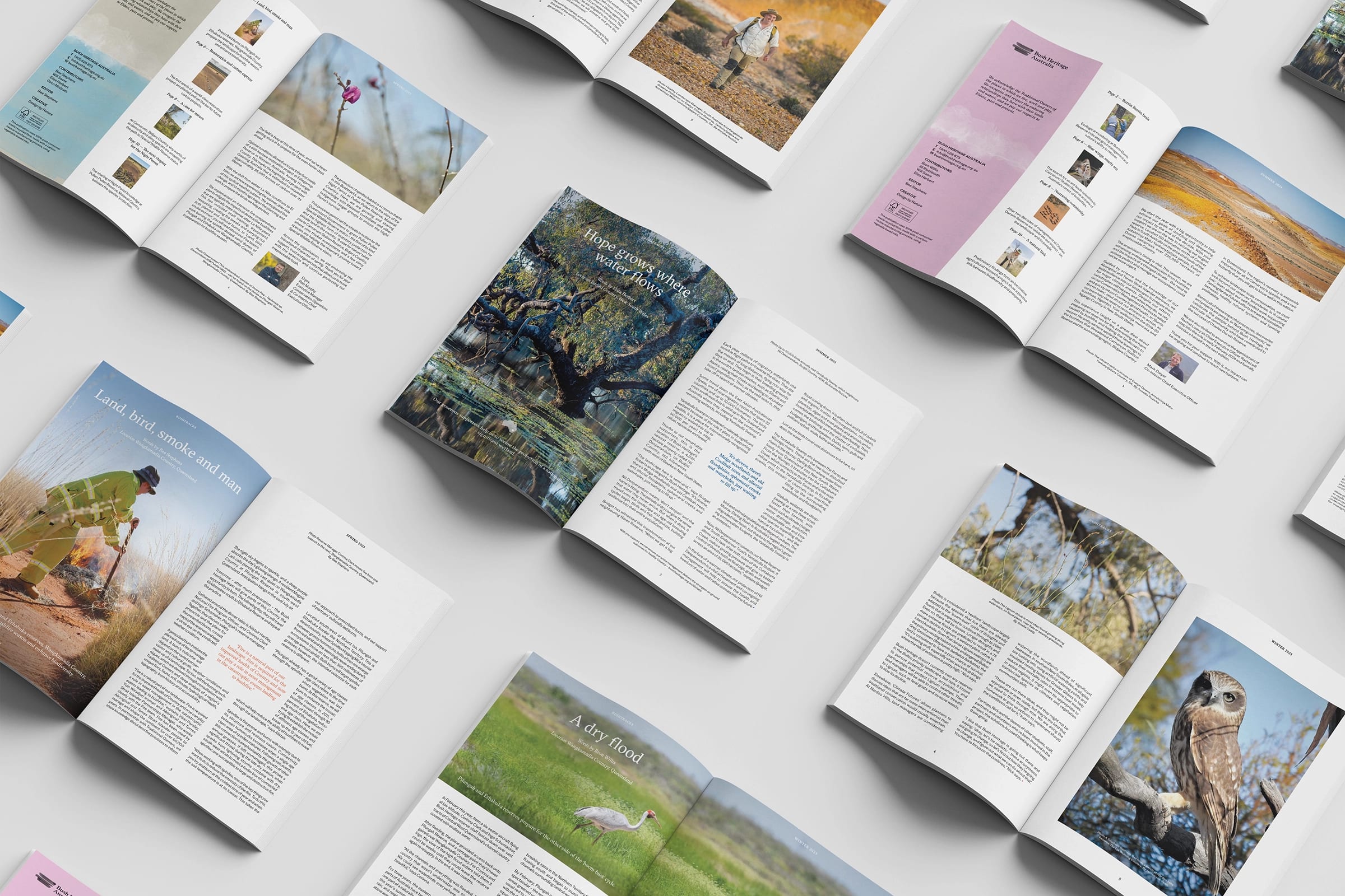 Bushtracks Magazine spreads