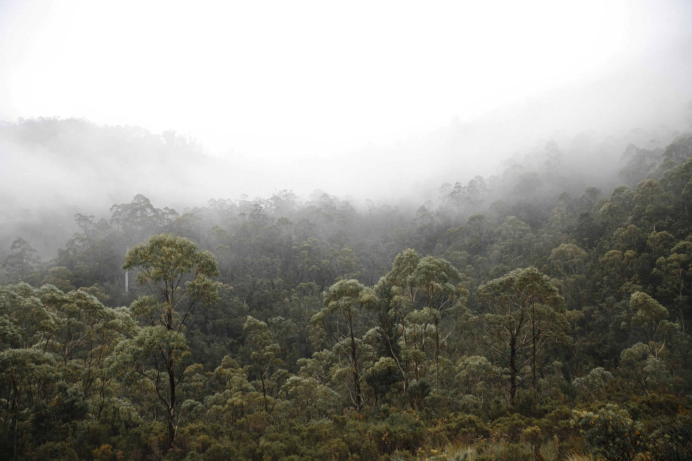 Landscape photography by photographer and creative director Anna Carlile