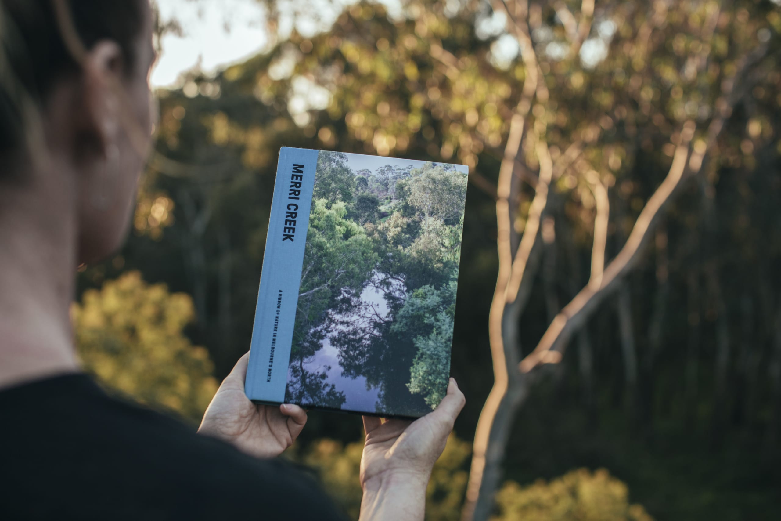 Merri Creek Book amongst Trees