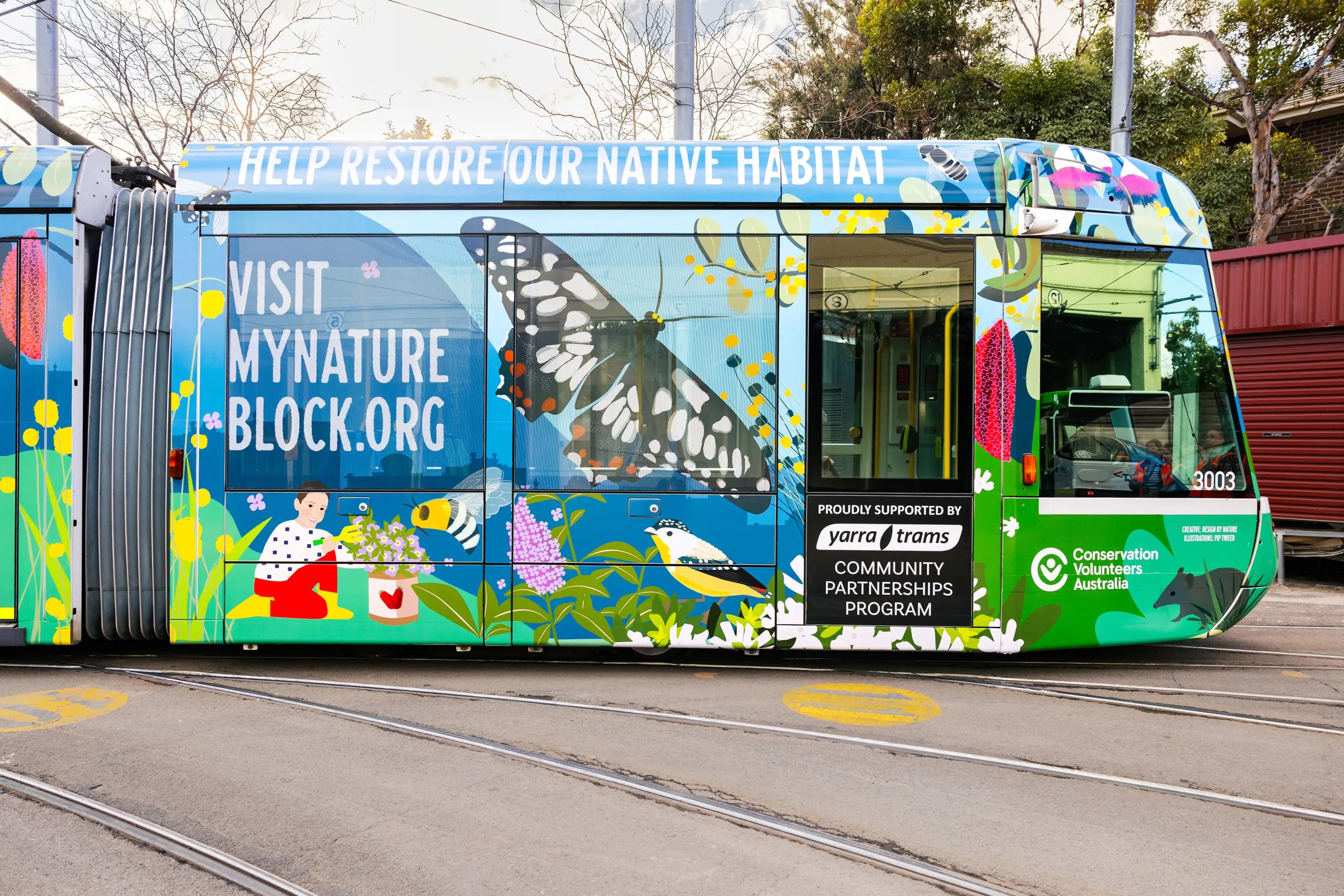 Tram in Melbourne with Illustrations, Nature Block campaign