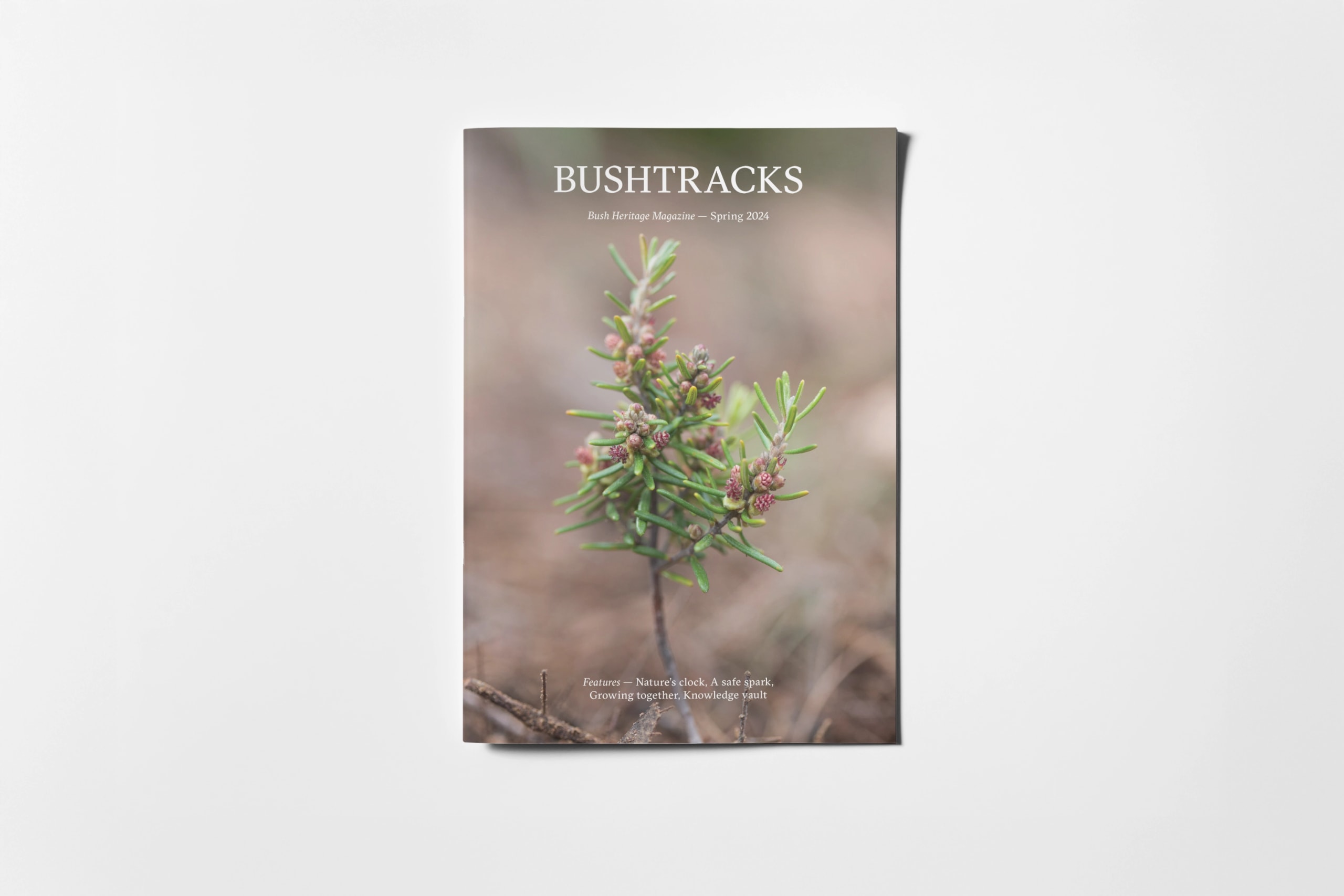 Bushtracks magazine cover
