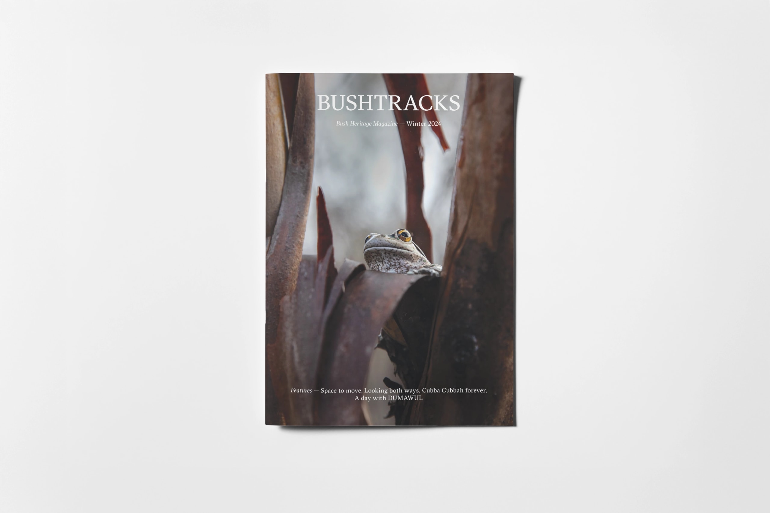 Bushtracks magazine cover