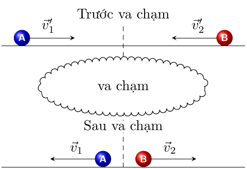 Hình ảnh hinh_003.png