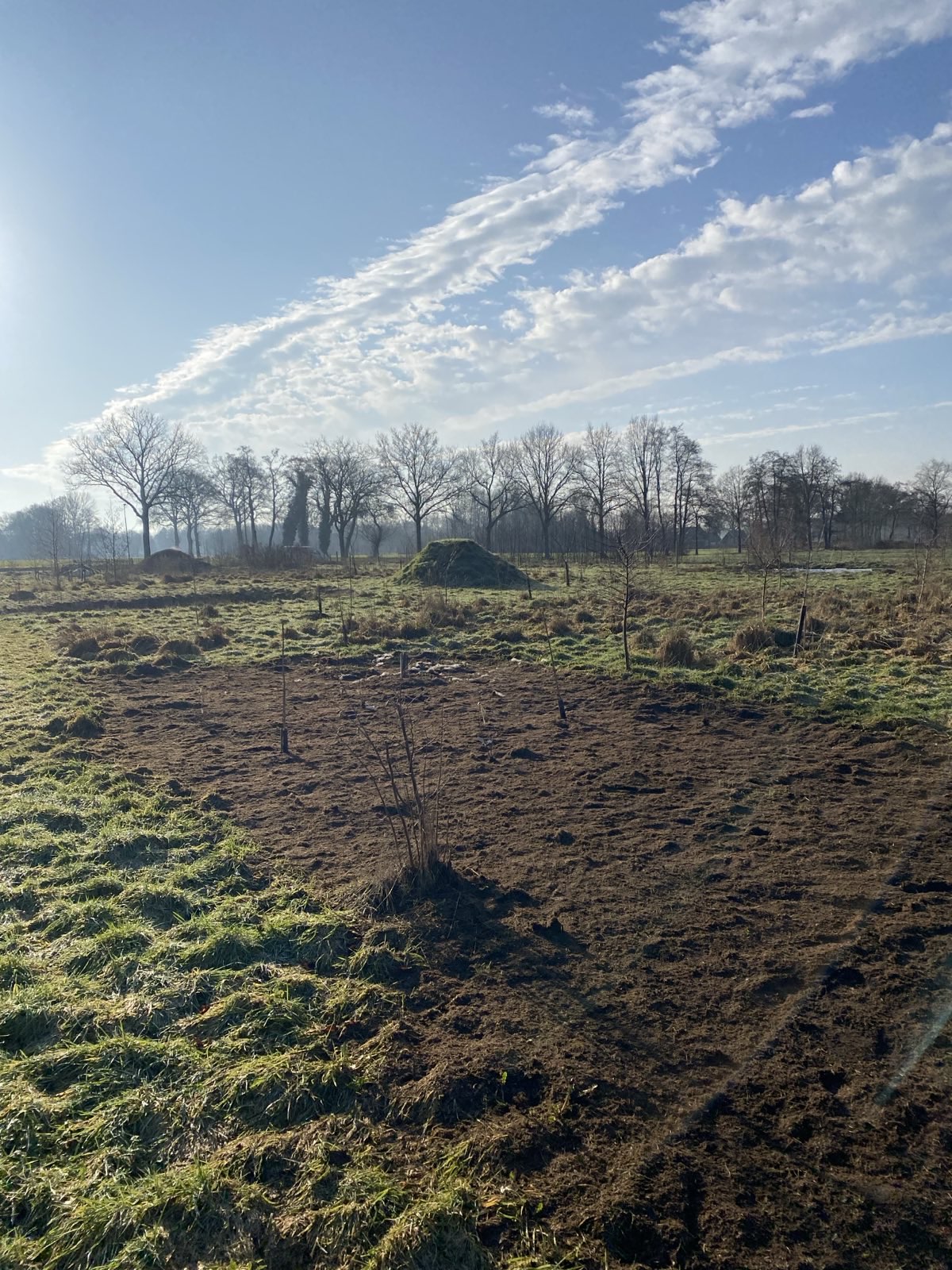 Binnenkort weer planten!