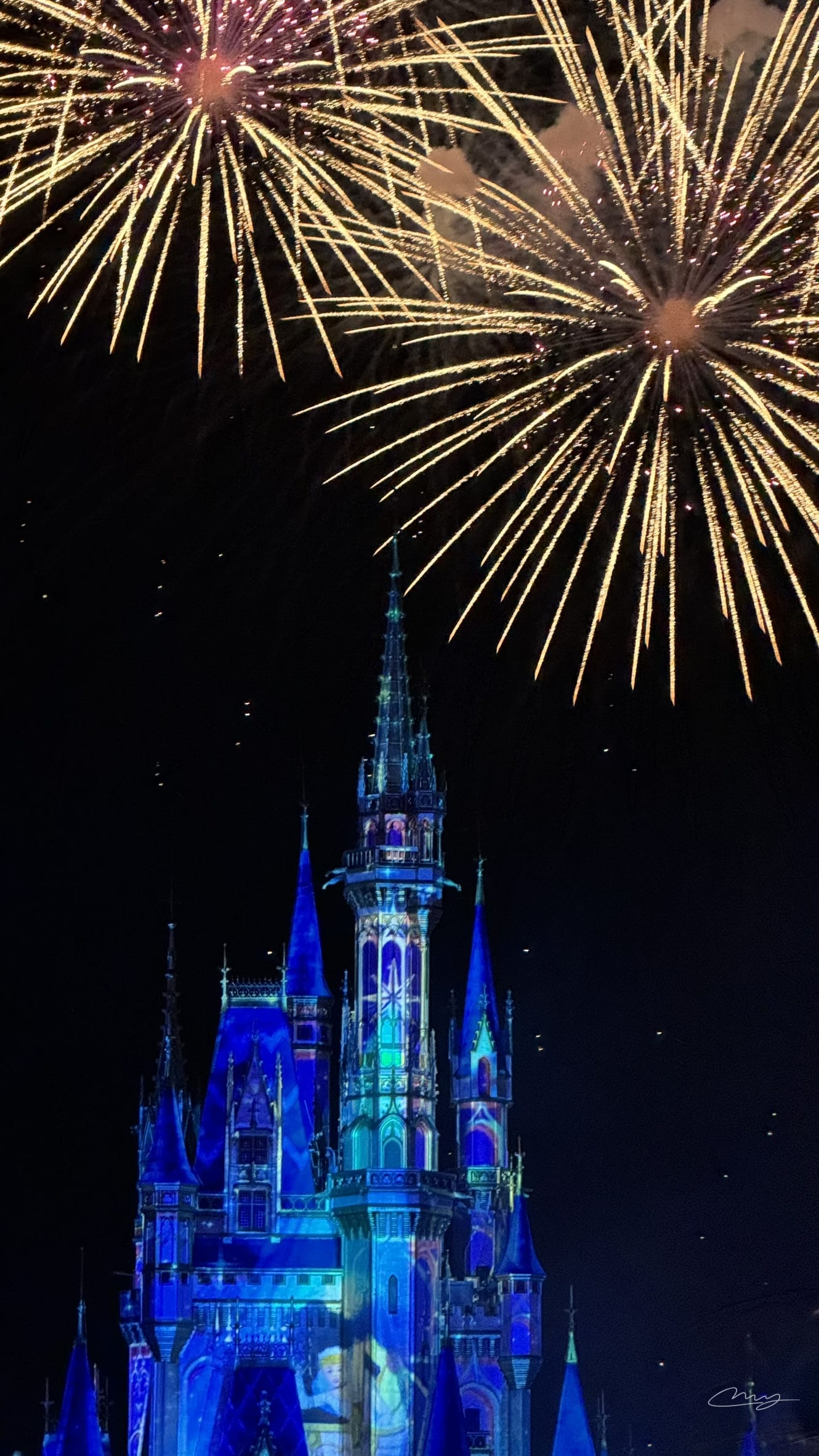 Disney World
